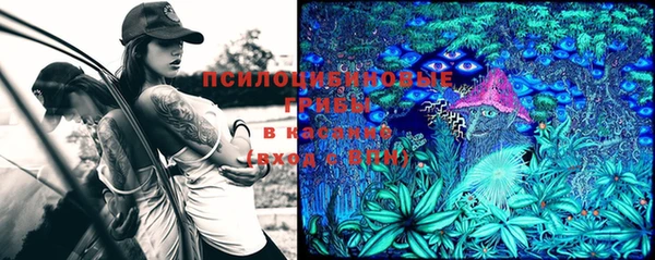 дурь Лихославль