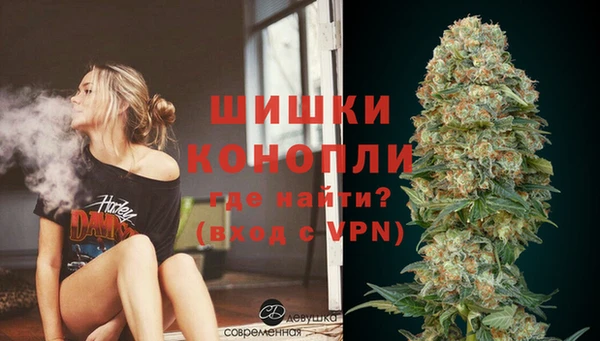 дмт Лиски