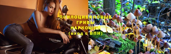 СК Апатиты