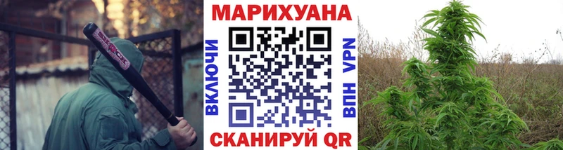 Бошки Шишки план  где продают наркотики  Томари 